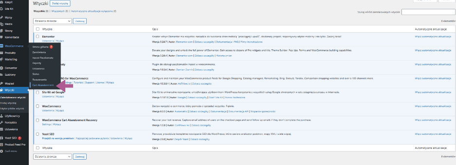Przejście do ustawień wtyczki Cart Abandonment w WooCommerce.